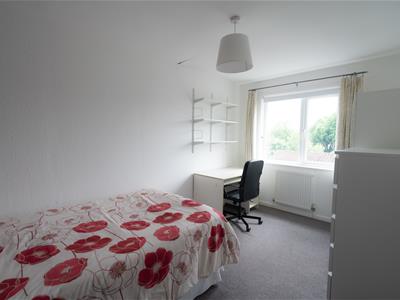 Picture 31